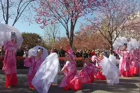 今天！第十一届鹤壁樱花季浪漫启幕！图片