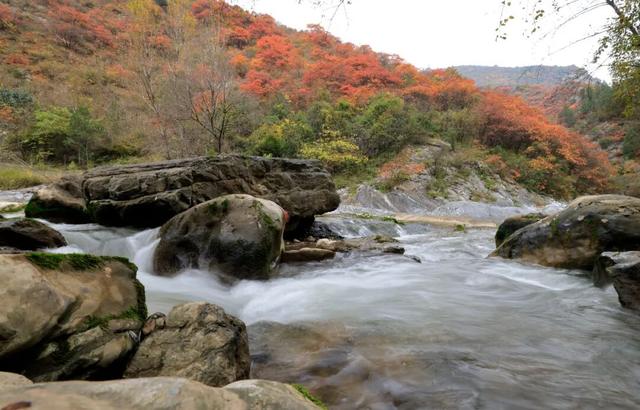 这才是秋天该有的样子~