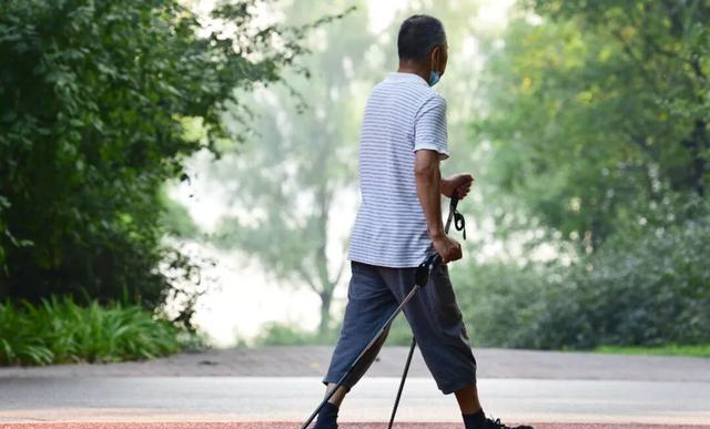 每天锻炼却换来一副“人工膝盖	”？医生：上了年纪这3种运动要