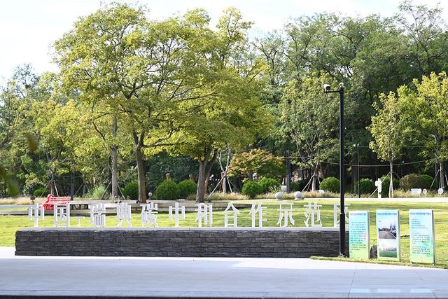 青岛团岛山公园：老城的时光秘境与自然栖居