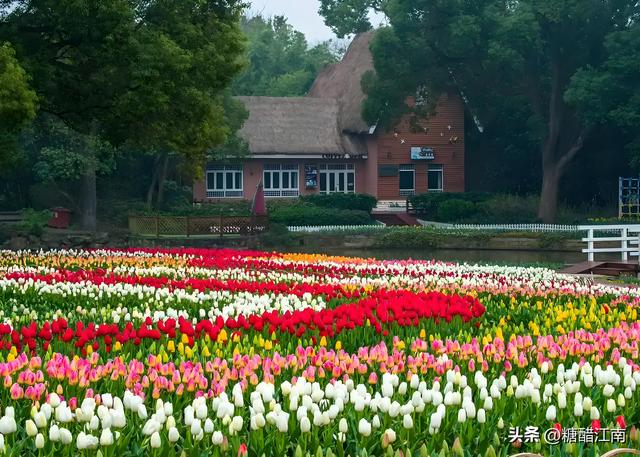 2026无锡“春假+清明”长假：客流量排名前五景区及后续出行建议