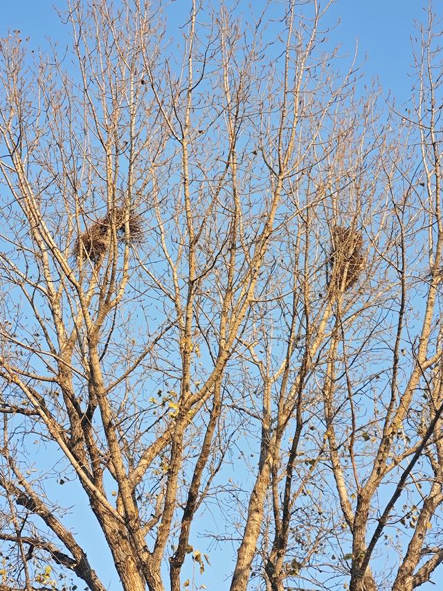 今天的锻炼任务
