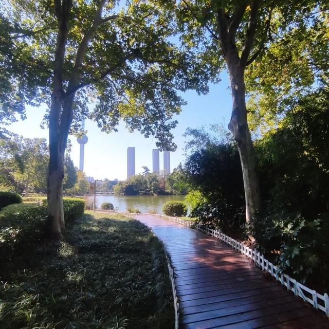 云龙公园春色好，绿肺含韵润彭城