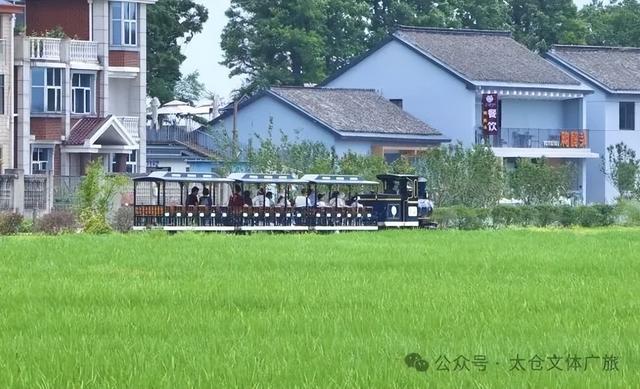 工作日基础，周末来太仓旅游就不基础