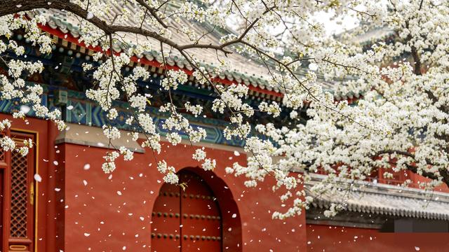 清明后北京踏青别挤人！3处私藏宝地人少景美还不累，穿搭直接抄