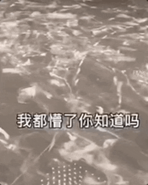 人工智能，已经发展到相当智障的境界了