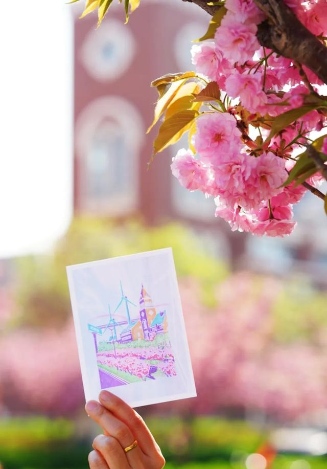 滨海新区生态城“樱花大道”惊艳盛放，美出圈啦~