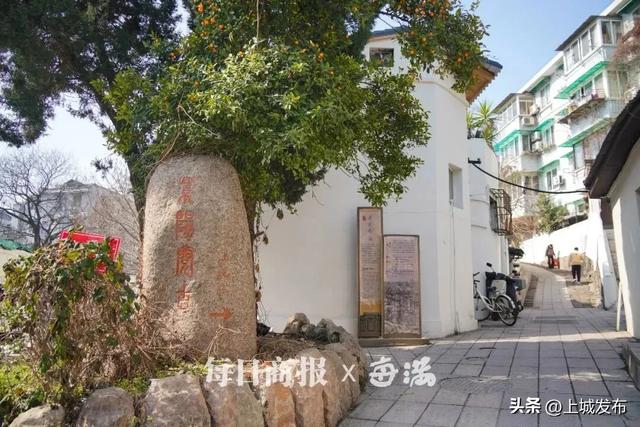 马“上”寻马 | 杭州city walk最新热门目的地，就在白马庙巷！