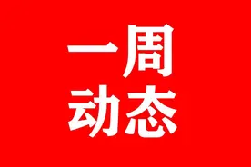 阜阳各县（市、区）党政主要领导在忙啥？【9.25—10.8】图片