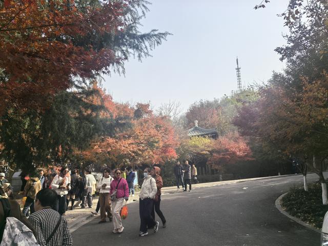 南京栖霞山一日徒步，游千年古刹，看漫山红叶