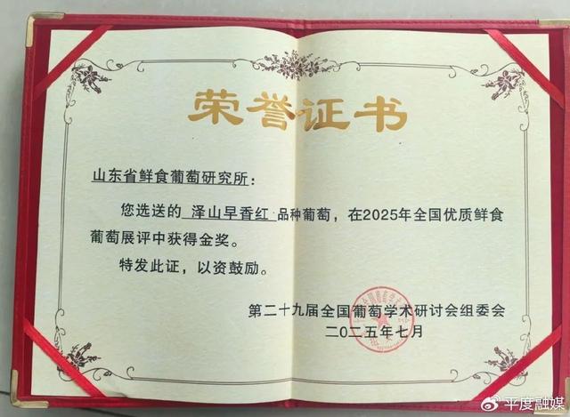 喜报！大泽山葡萄再获金奖！