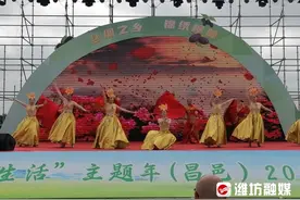 采摘走起～潍坊这里的桑葚熟了图片