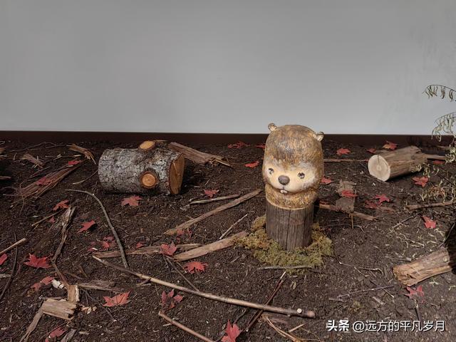 温哥华游记（二）