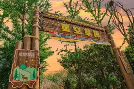 五一银基奇妙游：星空露营×夜探猛兽！家庭套票立省200+图片