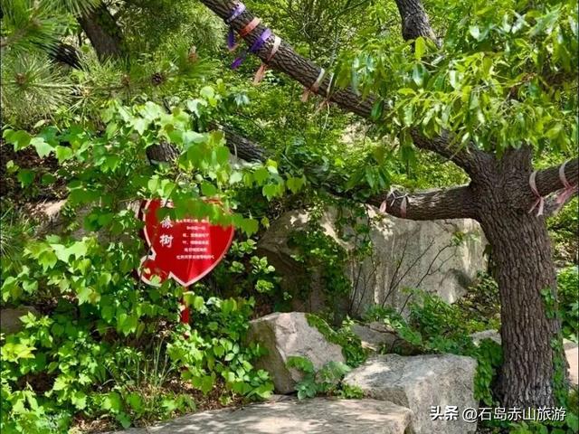 520遇上赤山景区：山盟海誓，不如许你一场“山海之约”