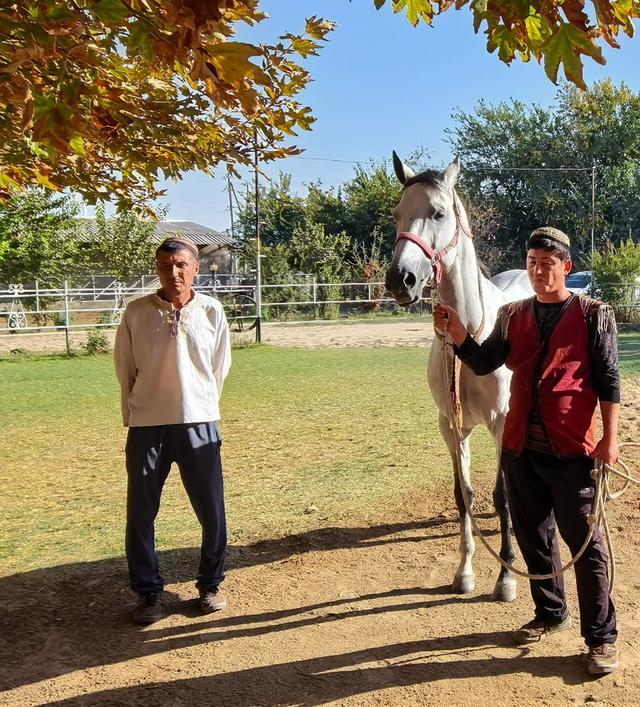 中亚五国行（18）——圆梦汗血宝马【土库曼】