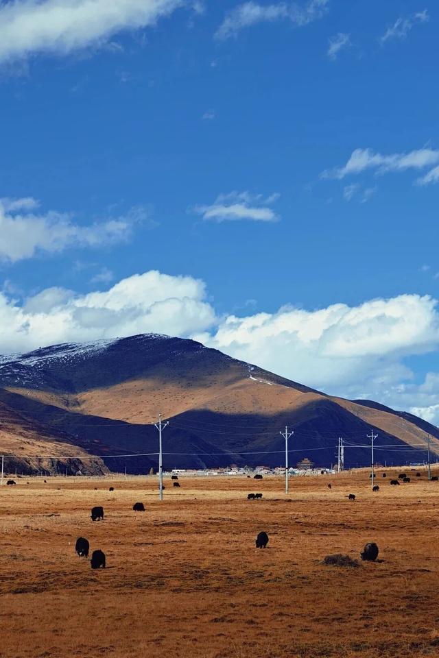 成都⇌康定往返专车！从从容容游刃有余看美景！