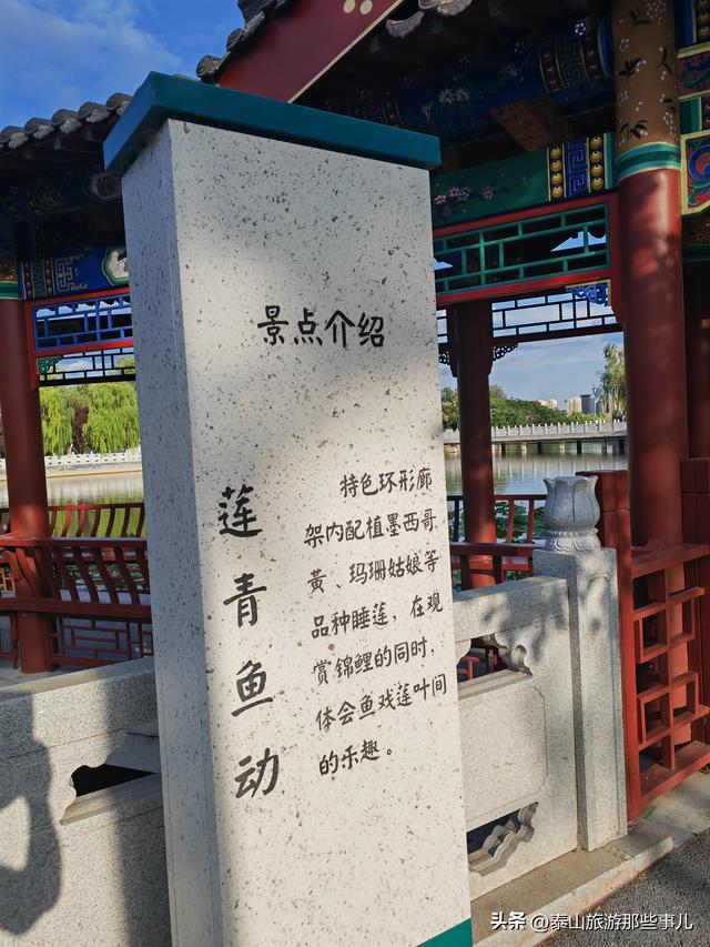 泰安：泰山下这个城市公园，耗资4700万元打造，藏着4处惊艳风景