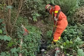 广西排水沟“盘踞”45斤大蟒蛇，蛇不冬眠？为何寒冬还有蛇出没？图片