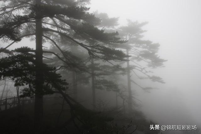 打卡黄山雾凇 冬日顶配风景