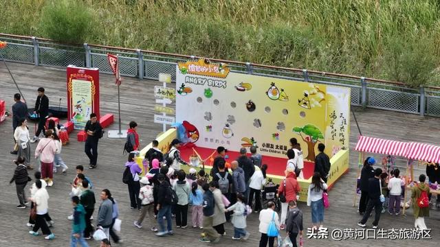 【情满双节游东营】​黄河口生态旅游区 国庆精彩瞬间 美好永不散场