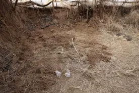 邯郸被害男孩父亲怀疑另有帮凶：3个小孩是怎么挖坑的？图片