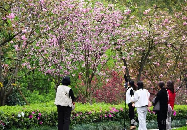 清明+春假连休｜重庆清明12大宝藏线路，邀你共赴一场春日之约