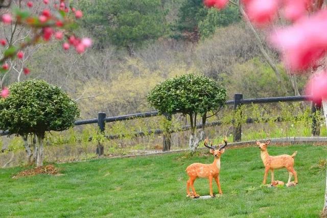 博望区横山景区变了！这波改造太暖心