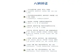 八纲辨证：中医名家传授的病情诊断宝典图片