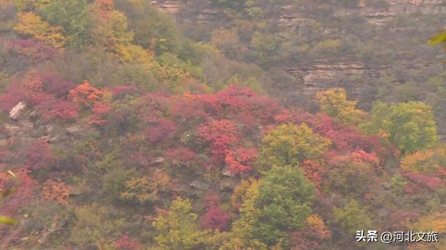 旅发大会前瞻丨河北好“宠客”！各景区以满满的诚意筹备文旅盛宴