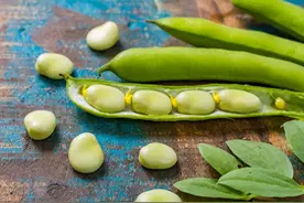 蚕豆天天吃会怎样？医生：常吃蚕豆，不出2个月，或有3大改善图片