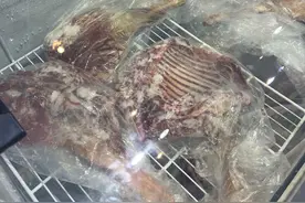 马达加斯加羊肉、磁力“东方明珠”、“小肚子”毛绒玩具......“头回客”满载而归期待成为“回头客”图片