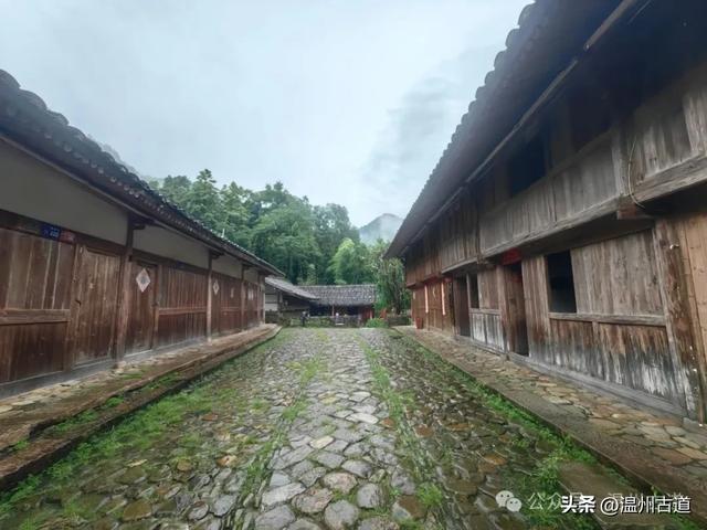温州这个免门票的小众隐世宝地你可去过？