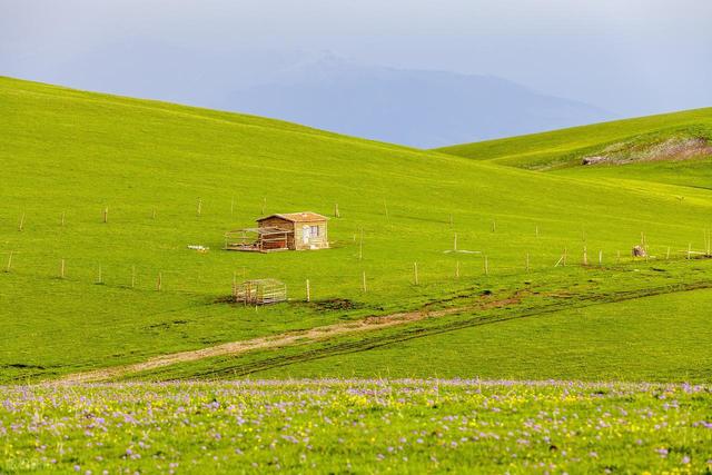 5月中旬-6月，错峰出行好时候，这6个目的地人少景美，气候清爽