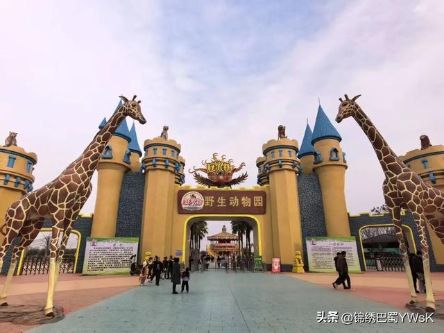 “五一”来绵阳三台！赏花海、品美食、游动物园、看水上表演……