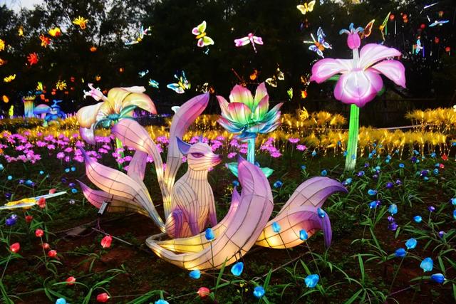 桂林：首届非遗千灯游园，光影艺术璀璨盛宴！