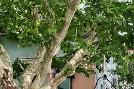 2024男生抖音昵称图片