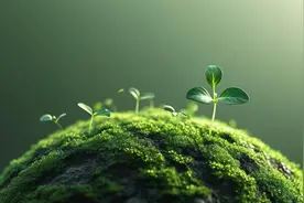 近十年高考语文易错字音集锦图片