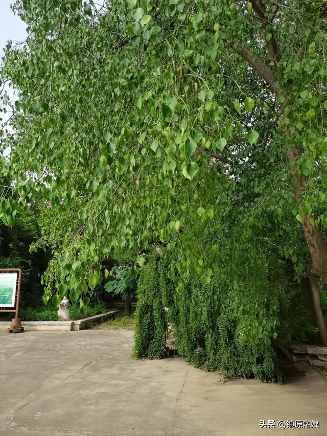 庆阳，高天厚土