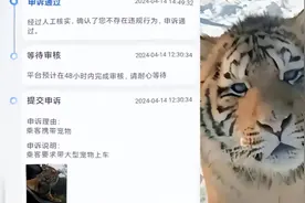网约车如何无责申诉，不被处罚？司机晒出神图，次次通过！图片