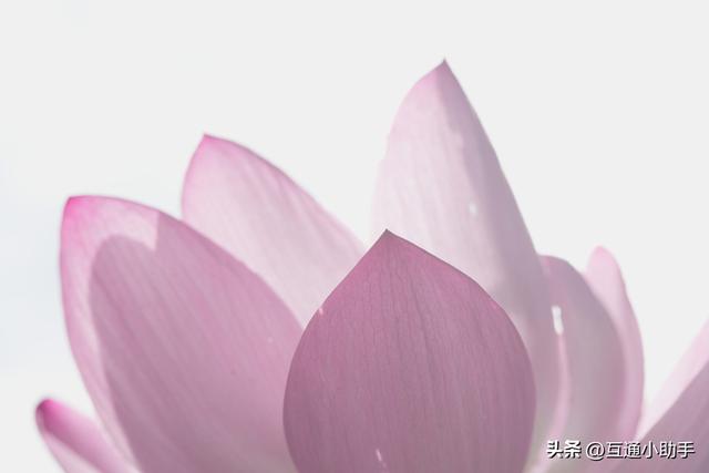 腾龙 90mm F/2.8 Di III MACRO VXD 上手使用体验
