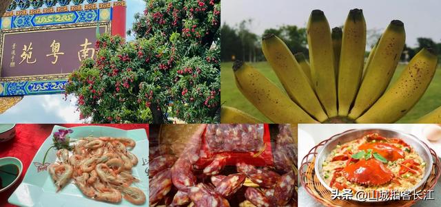 中国特殊的地级市,凭借“敢闯敢试”的基因,成为世界知名城市!