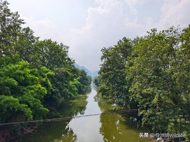 成都古镇（16）邛崃夹关古镇