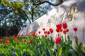 沪上高校最美春景上线，有你的学校吗？（附入校指引）图片