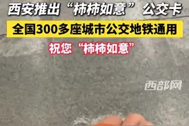 长安通发行新款异形卡“柿柿如意”！ 330多座城市可用图片