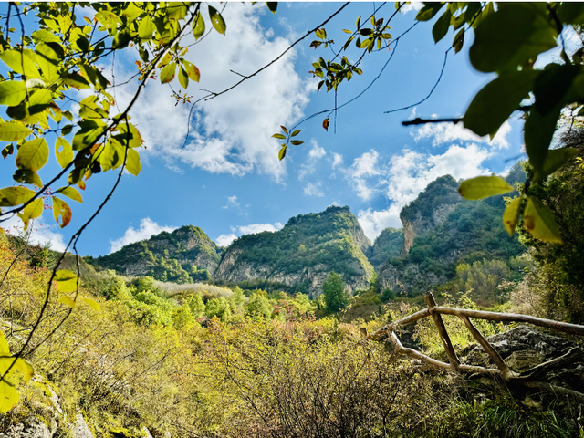 这么好看，不愧是遮阳山的秋天！