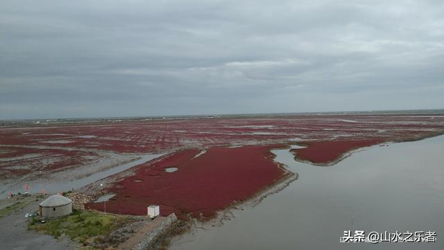 环游大东北之漫步锦州凌海红海滩