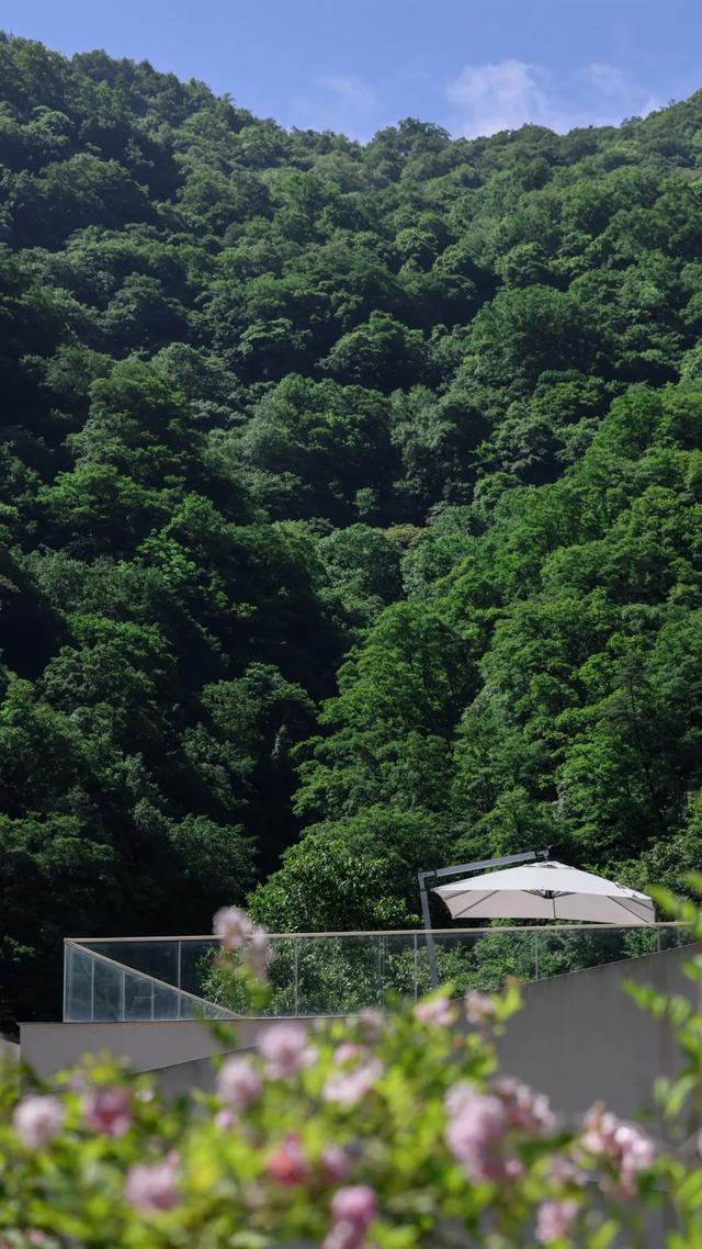 清明避世指南|去秦岭深处的留坝,过3天神仙日子!