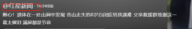 新进展！8岁男童苍山走失：定位器已找到，比孩子先丢，疑点重重