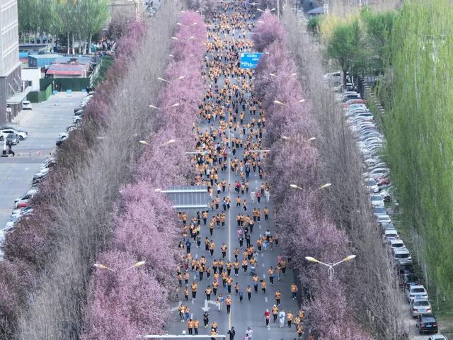 你好，4月！（附杏花攻略）